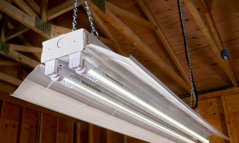 Best LED Shop Lights Types Available