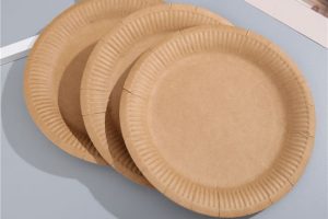Ultimate guide: Disposable plates vs reusable