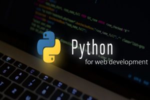 Choose Reliable Python Development Service