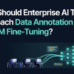 Data Annotation for LLM Fine-Tuning