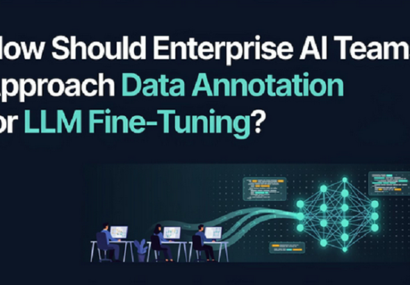 Data Annotation for LLM Fine-Tuning