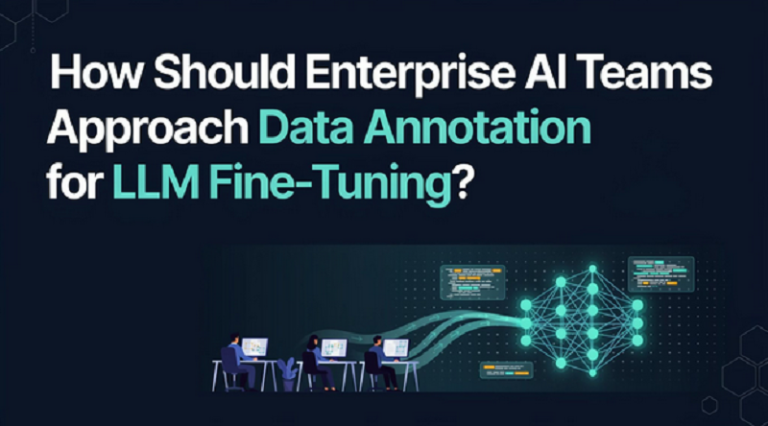 Data Annotation for LLM Fine-Tuning